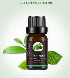 Premium Essential Oil – 100% Pure Aromatherapy Grade