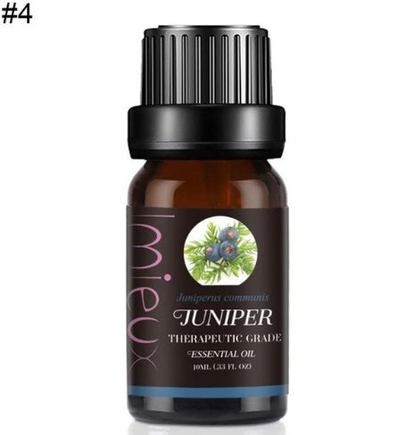 Premium Essential Oil – 100% Pure Aromatherapy Grade