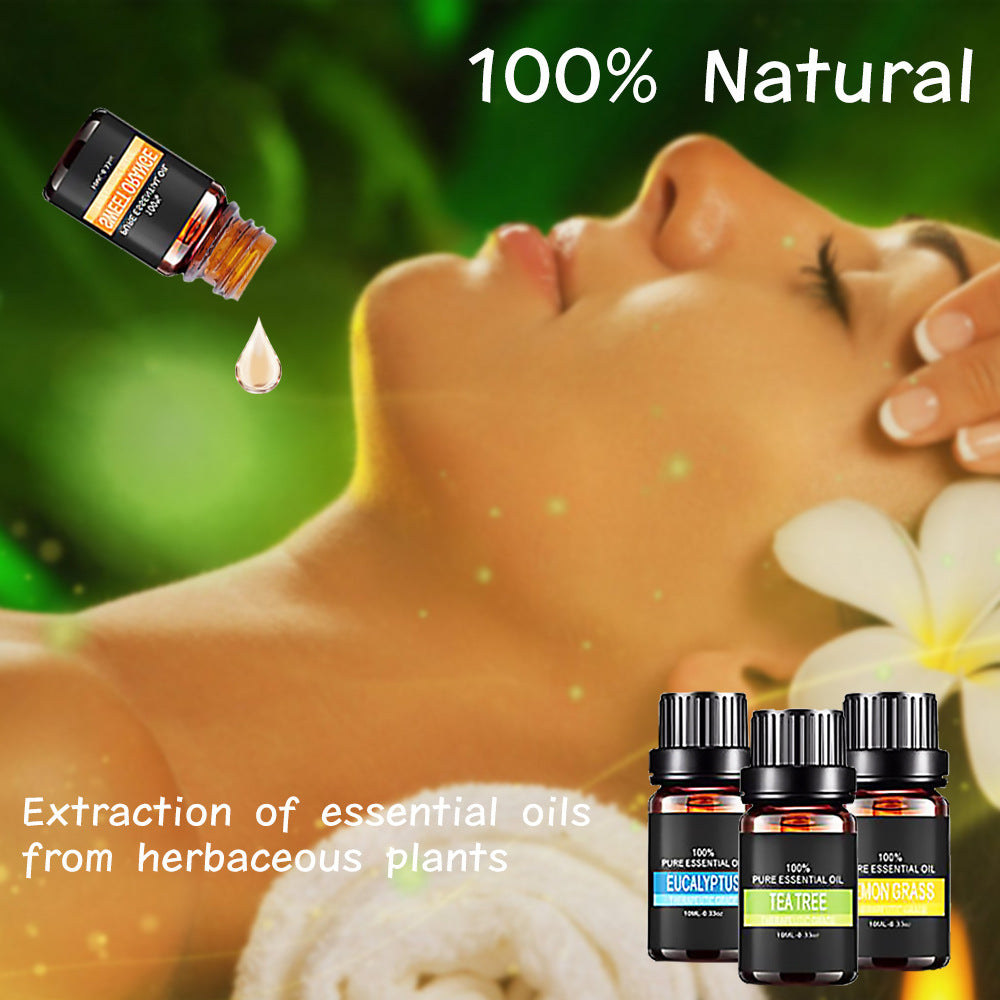 Organic Essential Oils Set – 100% Natural Therapeutic Grade Aromatherapy Gift Kit for Diffusers