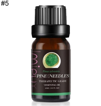 Premium Essential Oil – 100% Pure Aromatherapy Grade